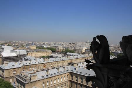 Las vistas desde las torres de notre dame son espectaculares